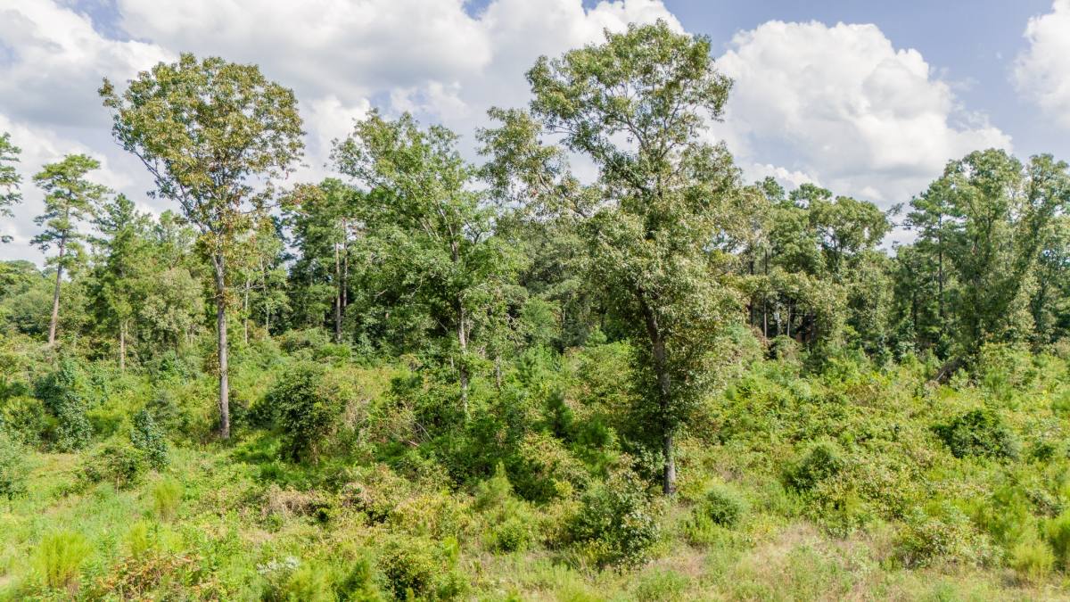 Apartment for rent at 17171 Farm To Market #1097, Willis, TX 77378