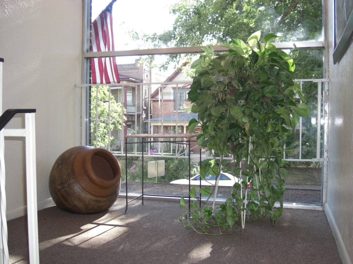 Apartment for rent at 945 N Ogden St, Denver, CO 80218