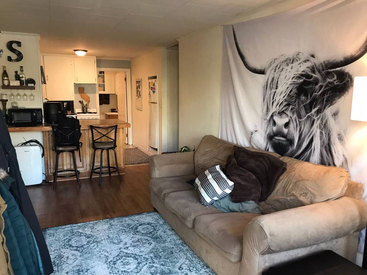 Apartment for rent at 123 Prospect St, Ithaca, NY 14850