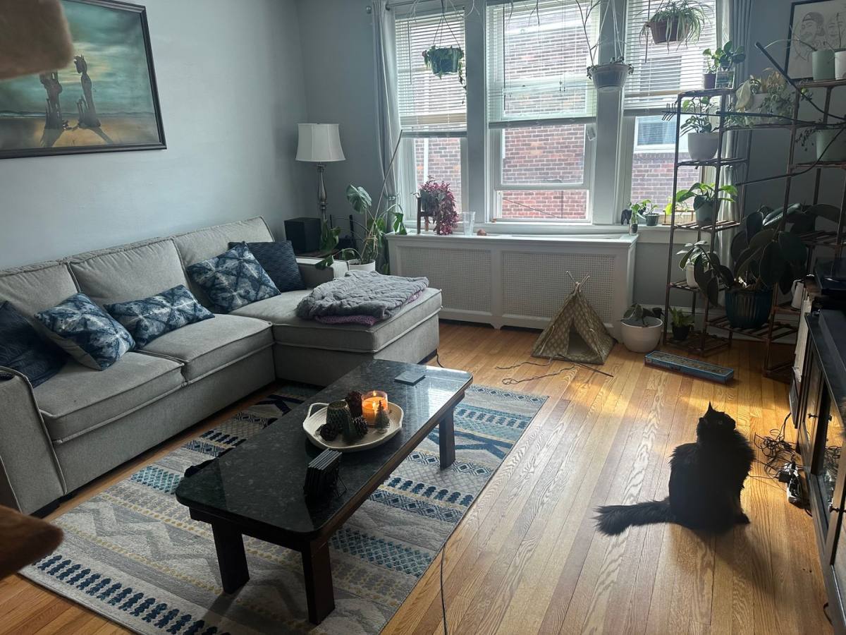 Apartment for rent at 271 S Allen St, Albany, NY 12208