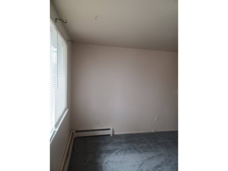 House for rent at 403 11th St, Alamosa, CO 81101
