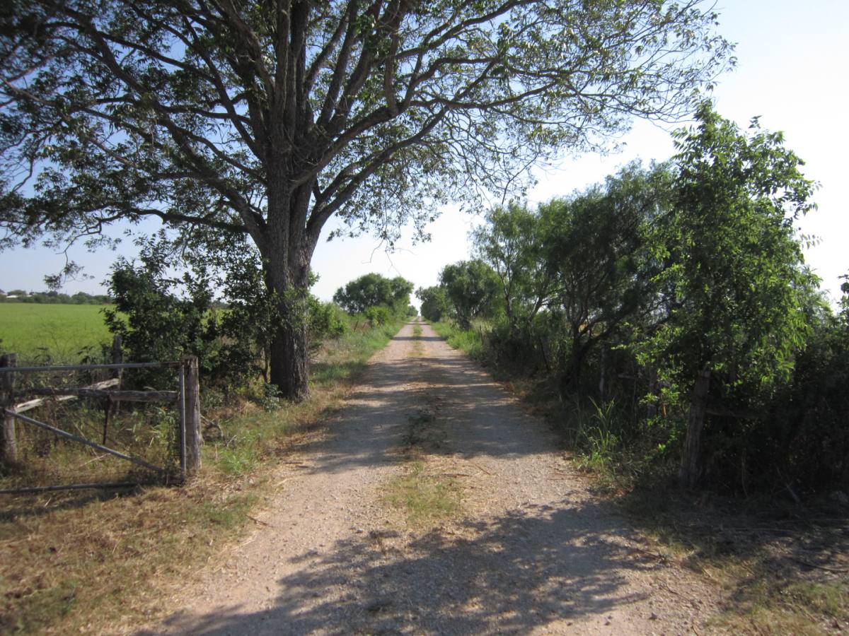 House for rent at 4111 Stapper Rd, Saint Hedwig, TX 78152