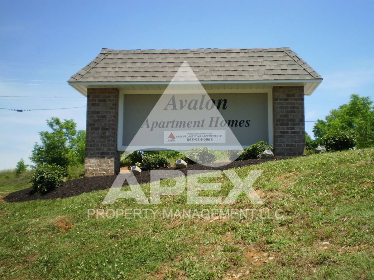Apartment for rent at 1540 E Old Topside Rd, Louisville, TN 37777