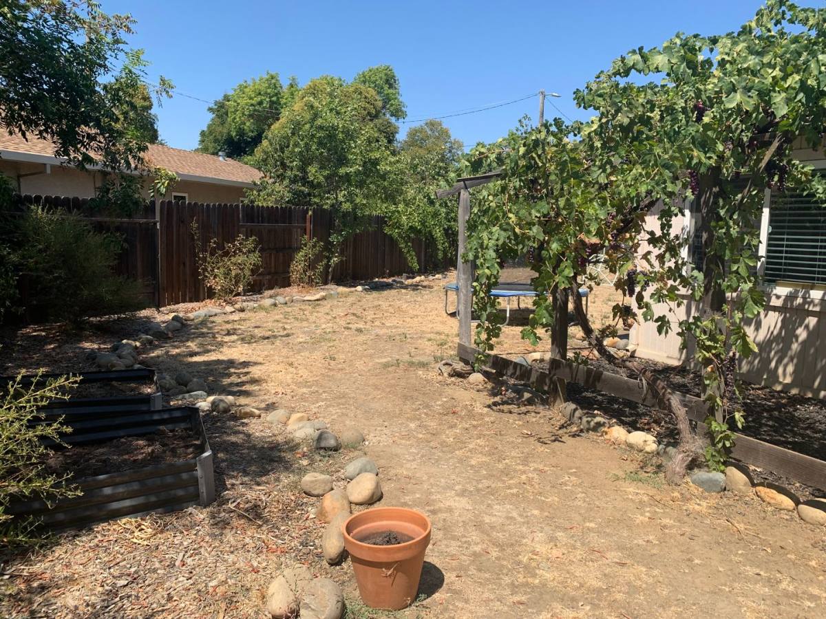 House for rent at 1921 Drexel Dr, Davis, CA 95616