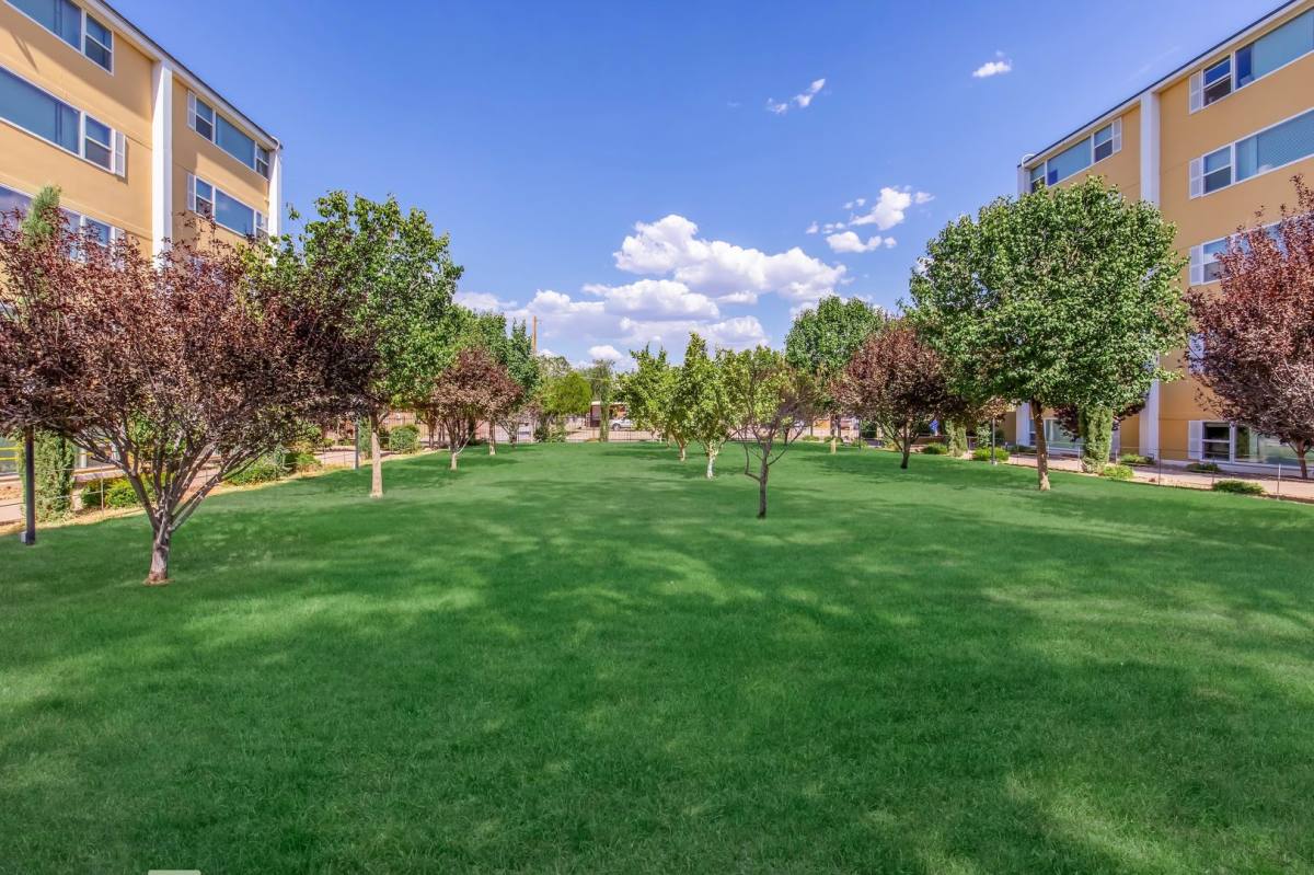 Apartment for rent at 2475 N Haskell Dr, Tucson, AZ 85716