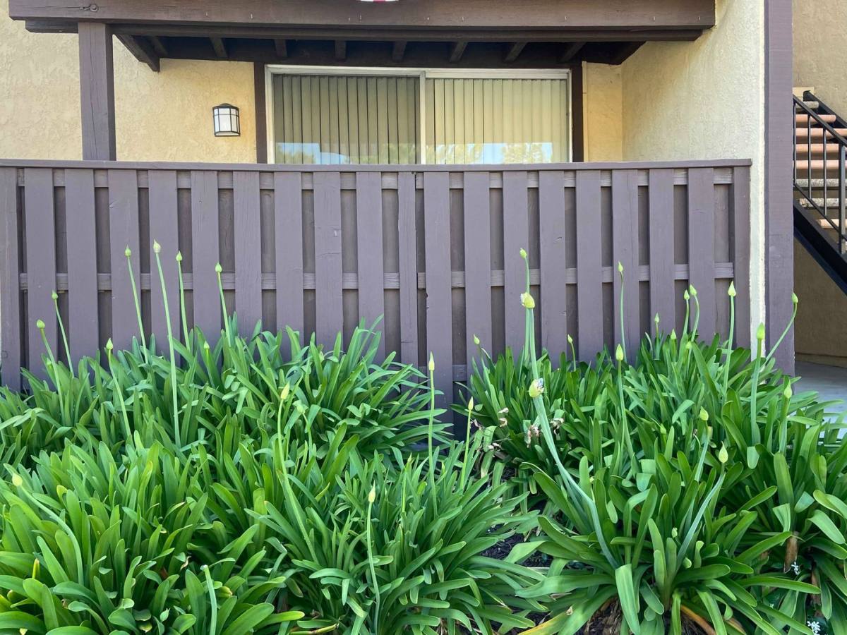 Apartment for rent at 15513 Williams St, Tustin, CA 92780