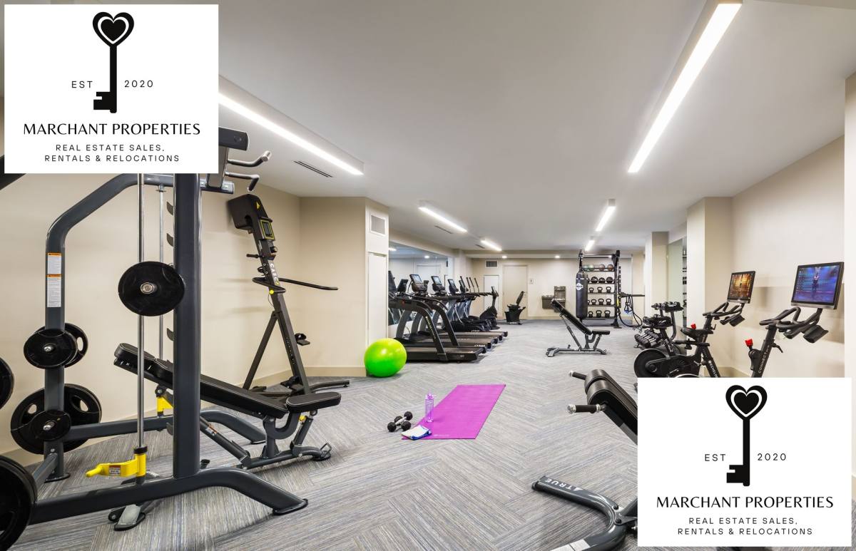 Apartment for rent at 103 Asheville Rd #411, Chestnut Hill, MA 02467