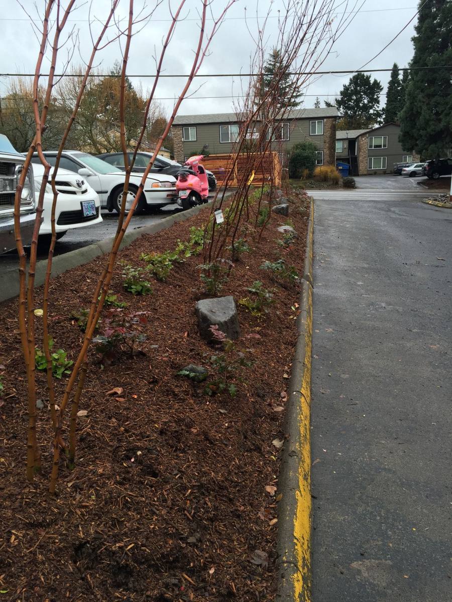 Apartment for rent at 4041 SE Gladstone St, Portland, OR 97202