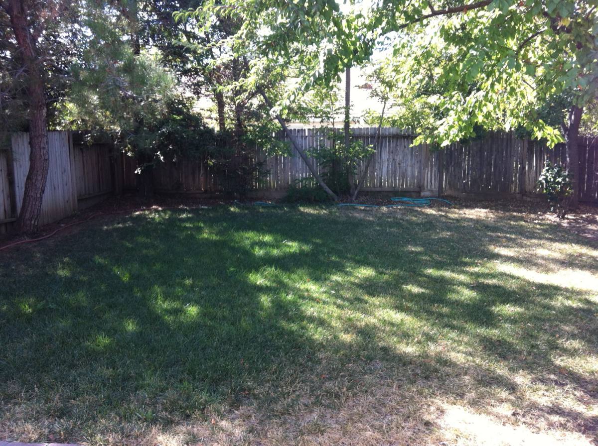 House for rent at 4108 Atlantis Dr, Davis, CA 95618