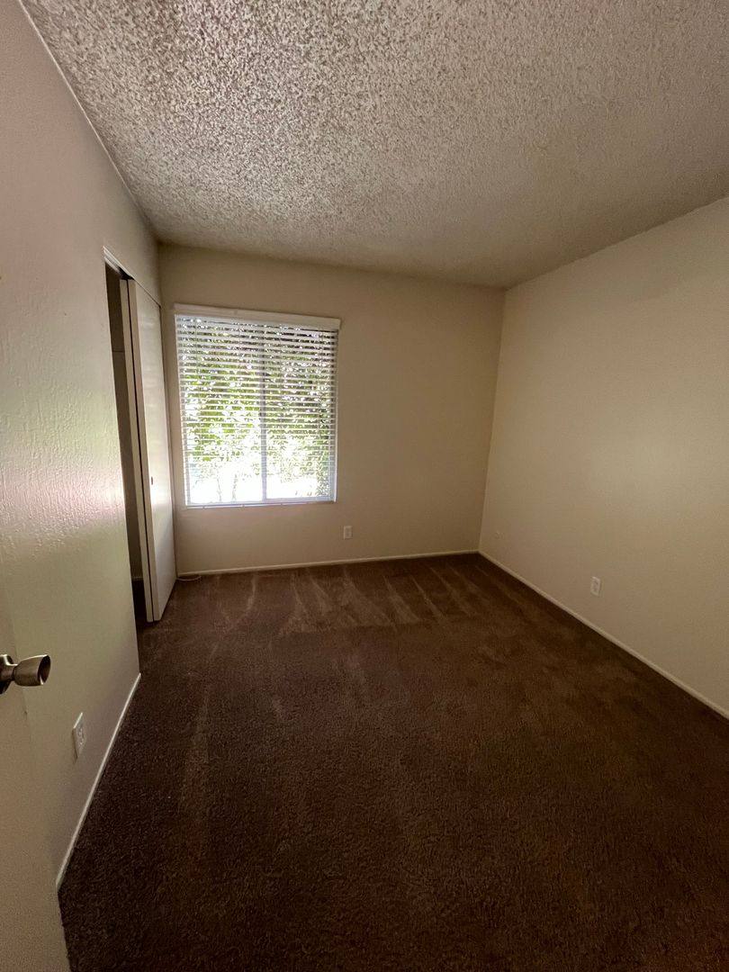 House for rent at 241 Baja Ave, Davis, CA 95616
