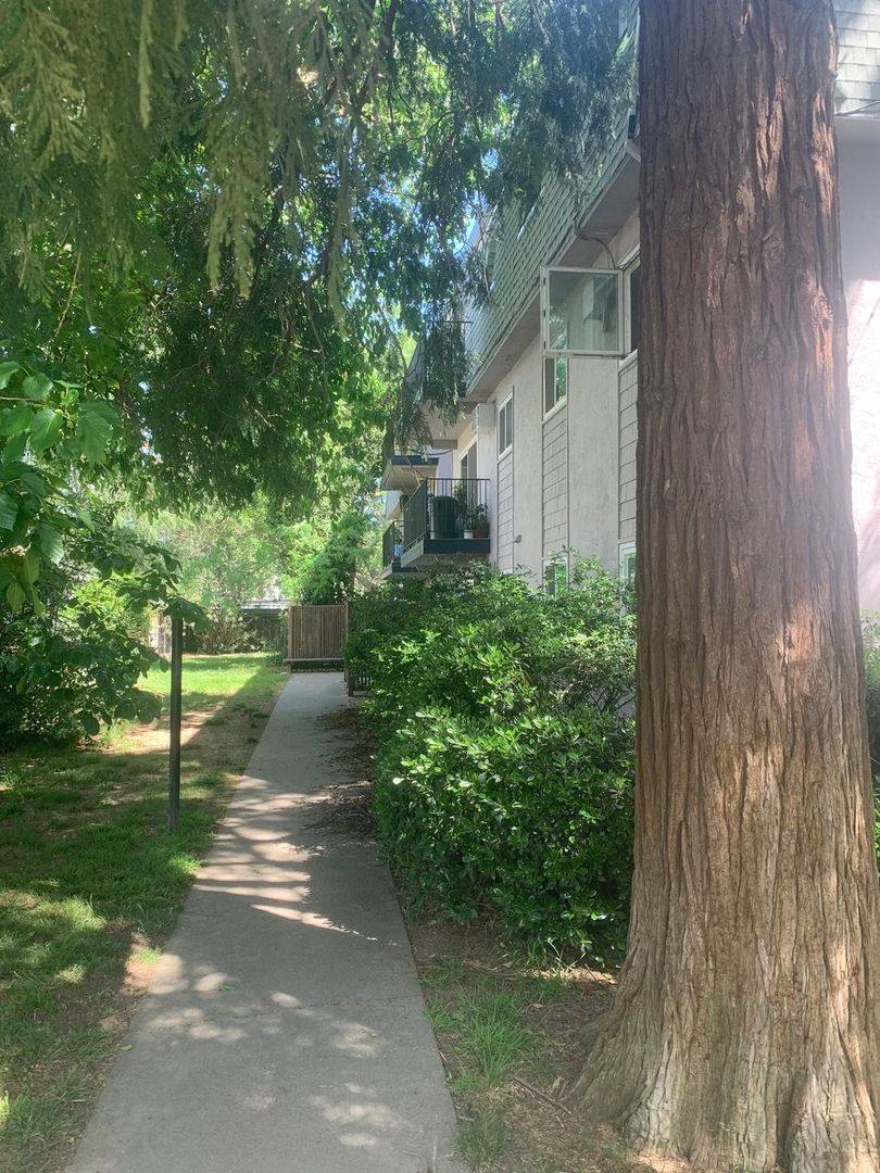 Apartment for rent at 230 J St, Davis, CA 95616
