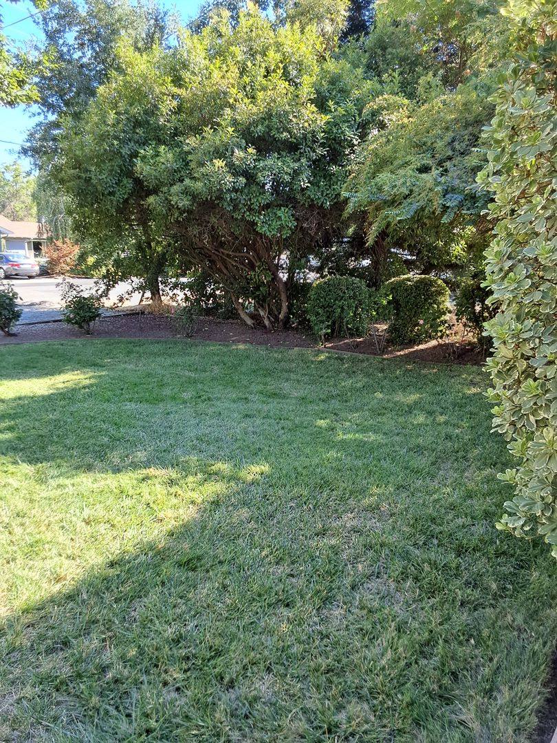 House for rent at 938 W 12th Ave, Chico, CA 95926