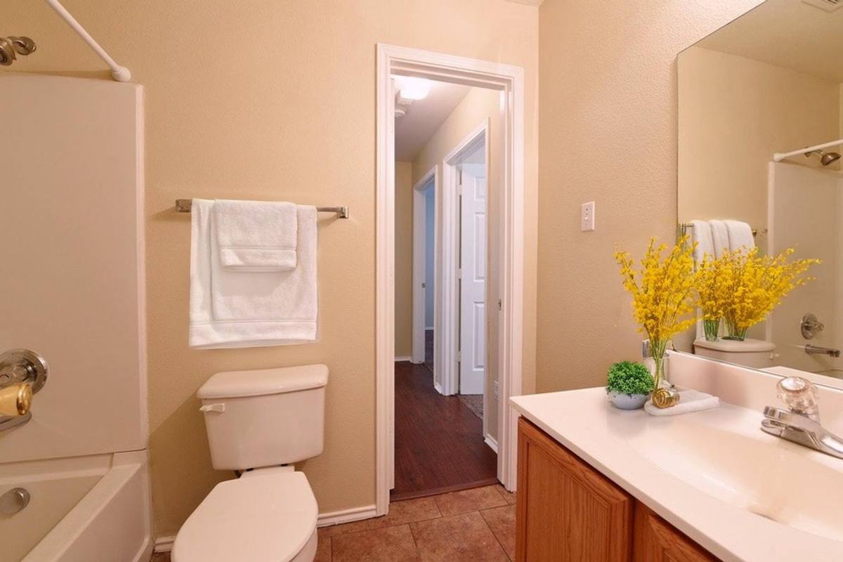 House for rent at 10707 N Shaenridge, San Antonio, TX 78254