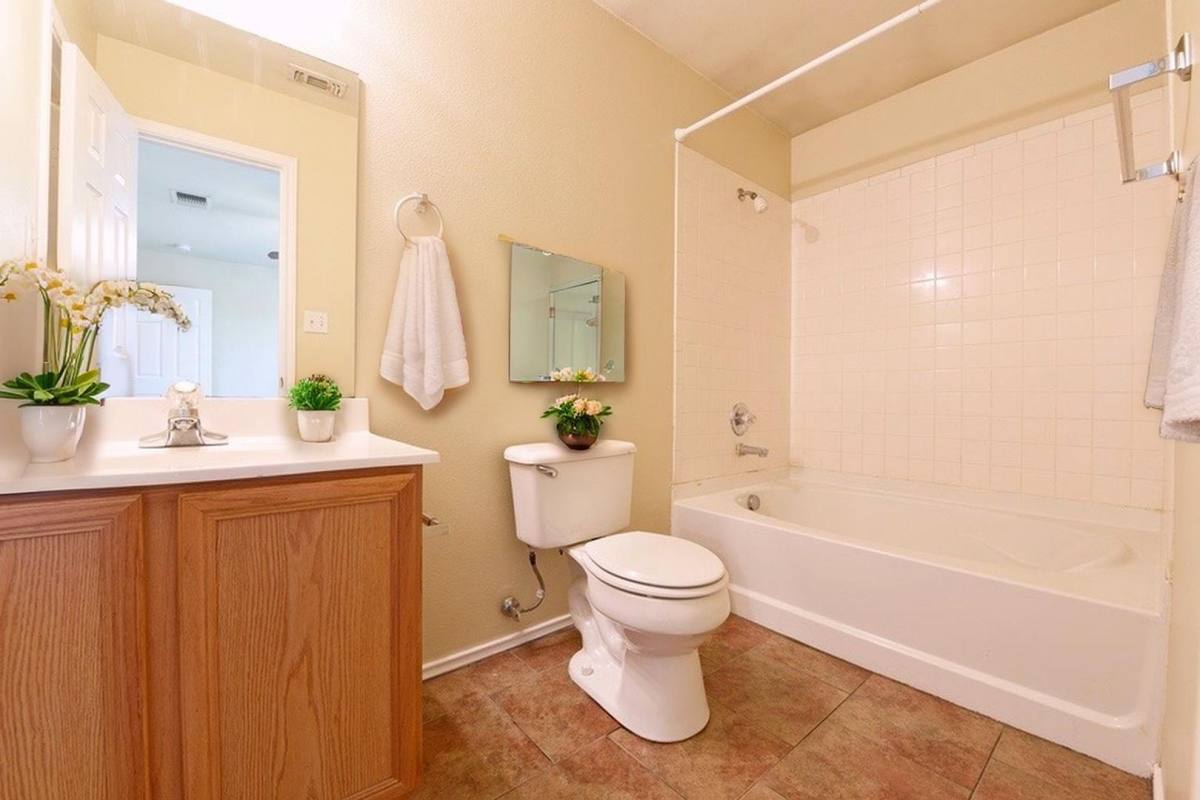 House for rent at 10707 N Shaenridge, San Antonio, TX 78254