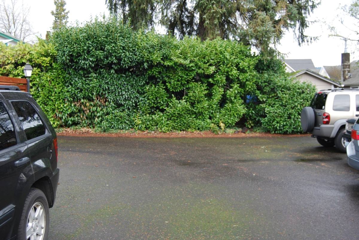 Apartment for rent at 507 N Meridian, Newberg, OR 97132