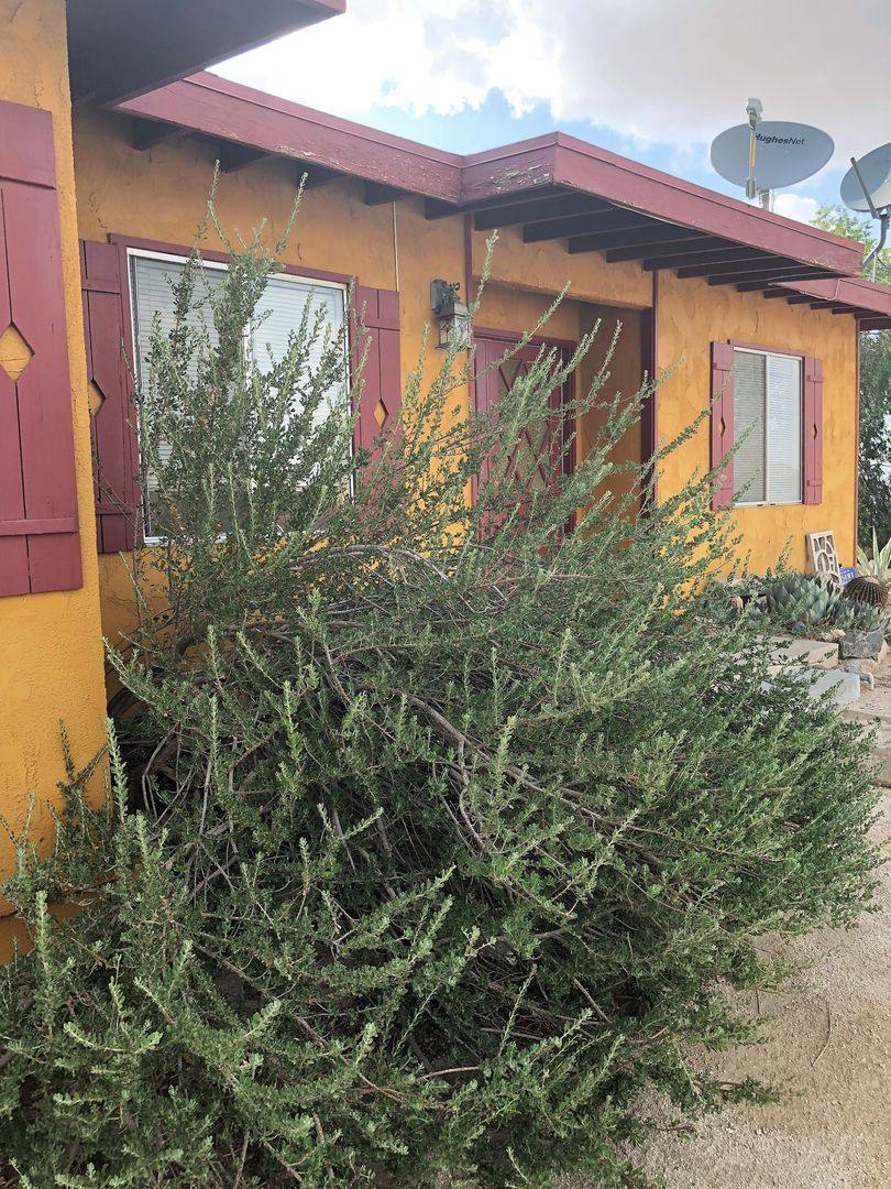 House for rent at 8680 Star Lane, Joshua Tree, CA 92252