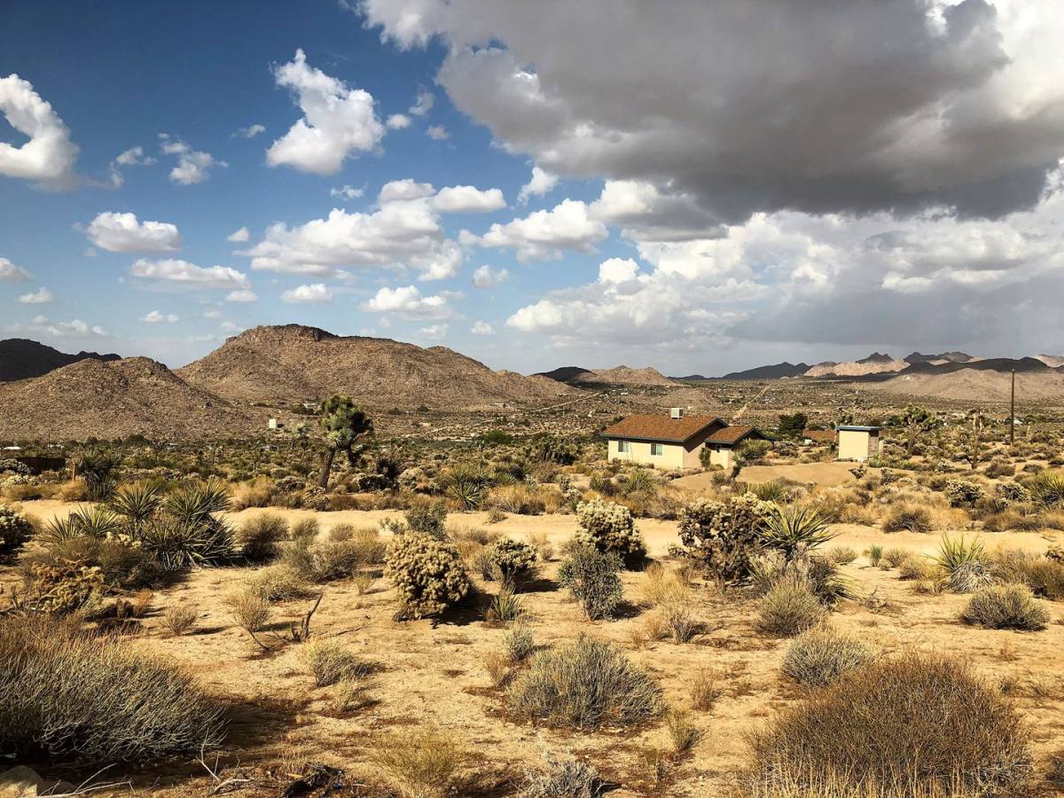 House for rent at 8680 Star Lane, Joshua Tree, CA 92252