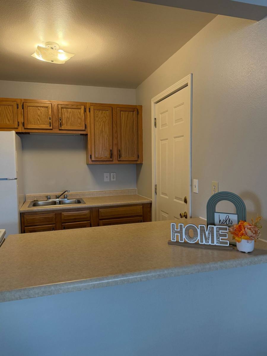 Apartment for rent at 250 S Lewis Lane #CORNERSTONE Apartmen, Carbondale, IL 62901