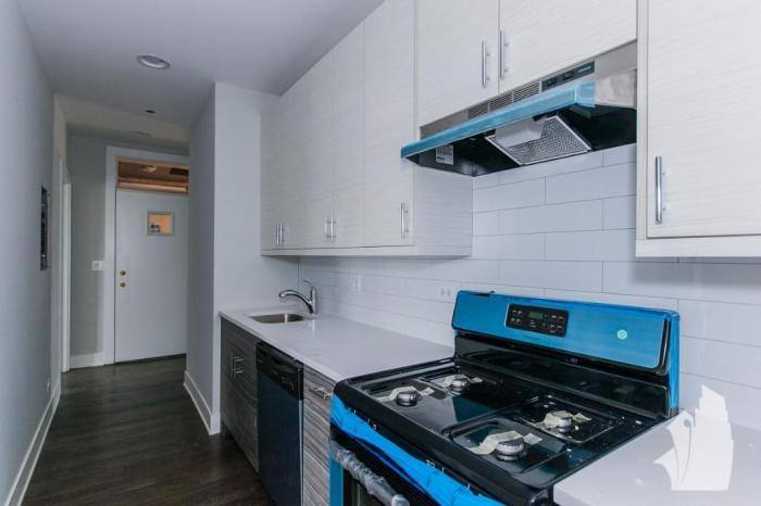 Apartment for rent at 3915 N Janssen #1W, Chicago, IL 60613