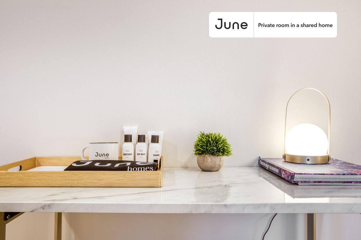 Apartment for rent at 1843 Burke St SE #B, Washington, DC 20003