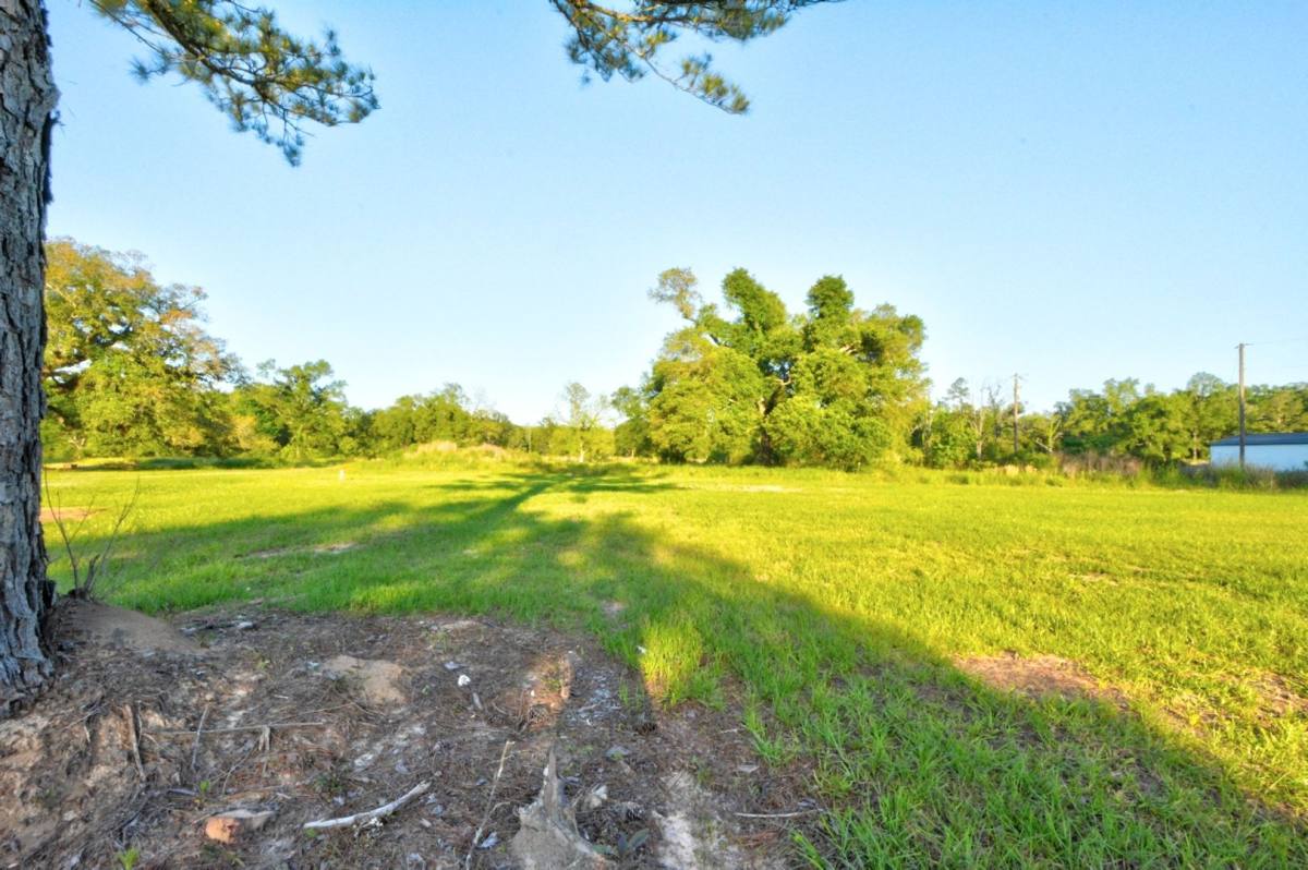 House for rent at 23950 Coats Rd, Springfield, LA 70462
