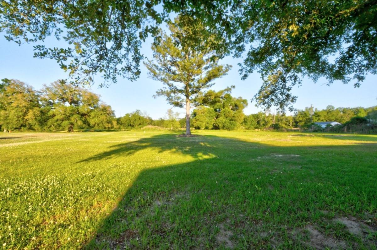 House for rent at 23950 Coats Rd, Springfield, LA 70462