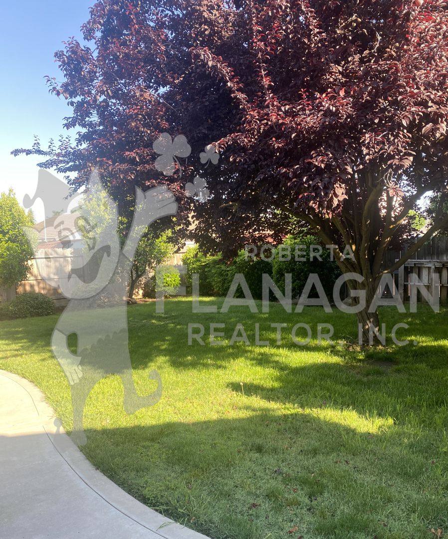 House for rent at 3042 Bea Dr, Merced, CA 95348