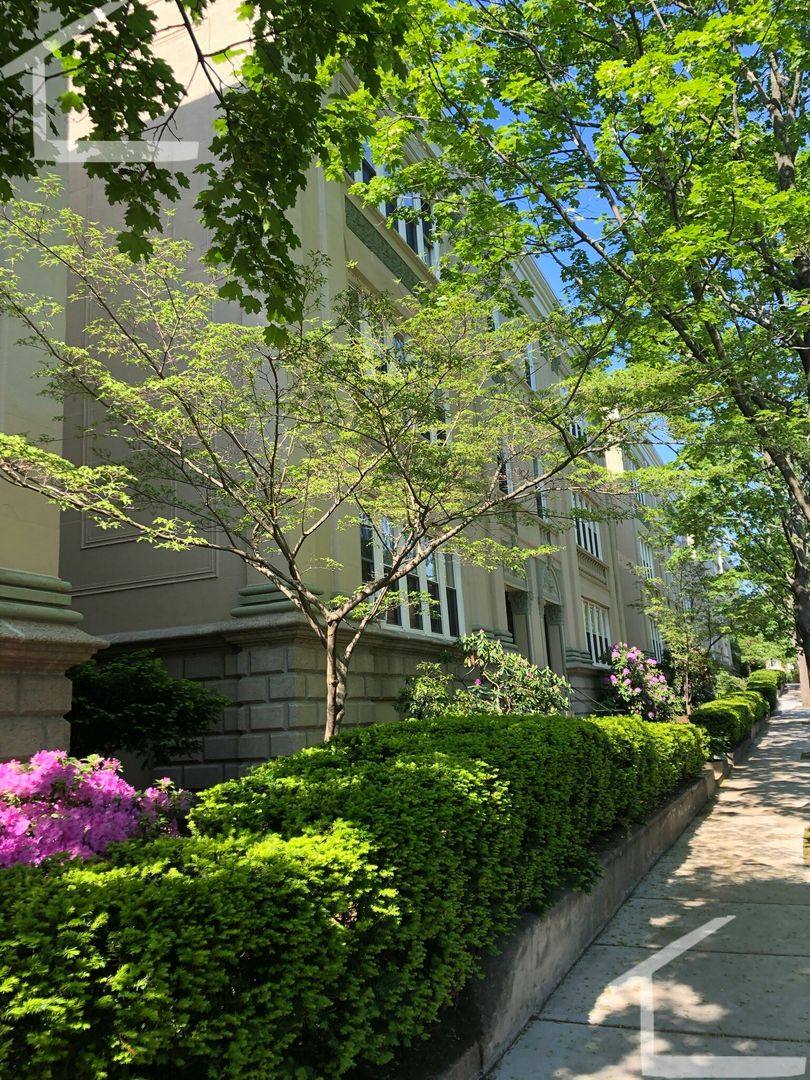 Apartment for rent at 39 Egmont St #1, Brookline, MA 02446