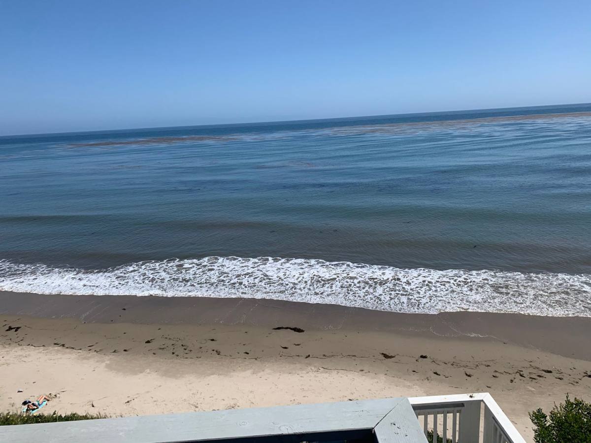 Apartment for rent at 6525 Del Playa, Goleta, CA 93117