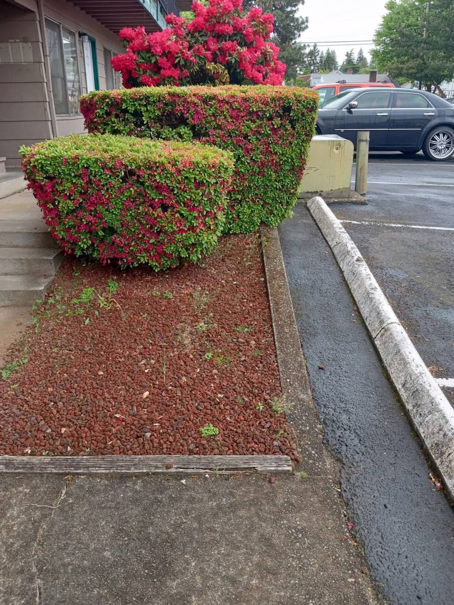 Apartment for rent at 2507 E Mill Plain Blvd, Vancouver, WA 98661