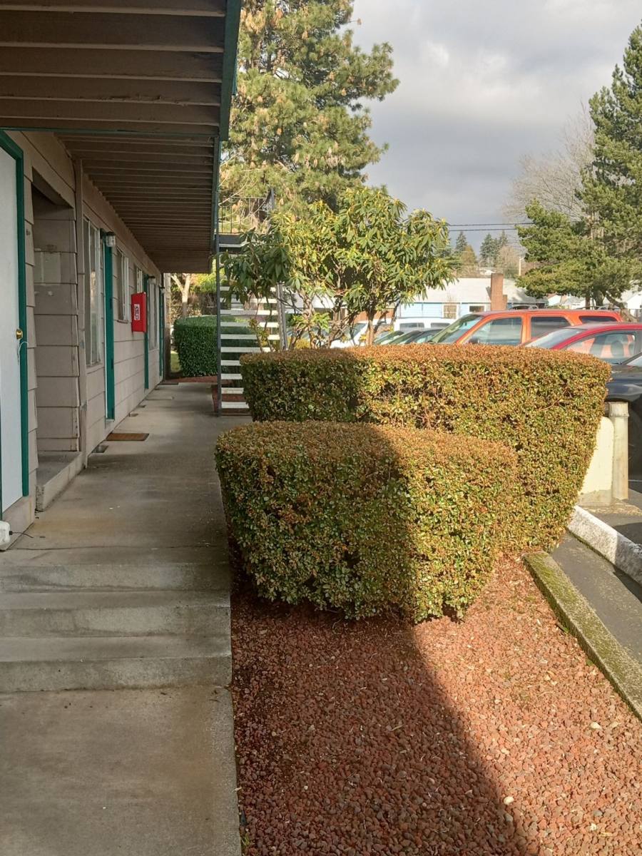 Apartment for rent at 2507 E Mill Plain Blvd, Vancouver, WA 98661