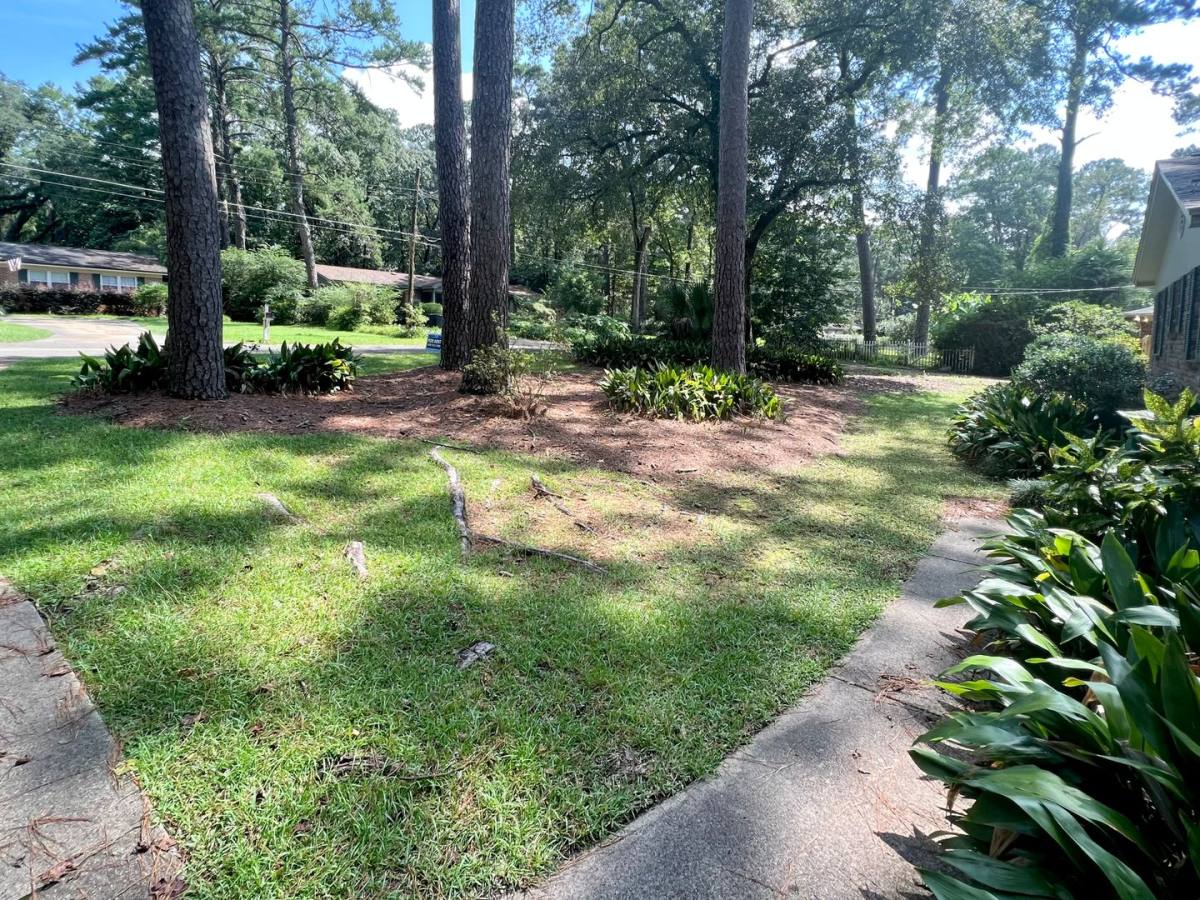 House for rent at 2112 Great Oak Dr, Tallahassee, FL 32303