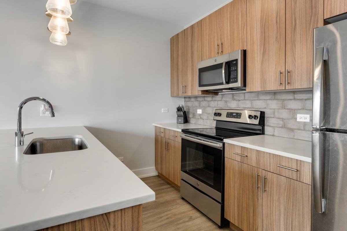 Apartment for rent at 2109-11 S Halsted St, Chicago, IL 60608