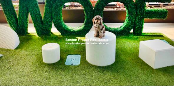 Apartment for rent at 50 Causeway St #3209, Boston, MA 02114
