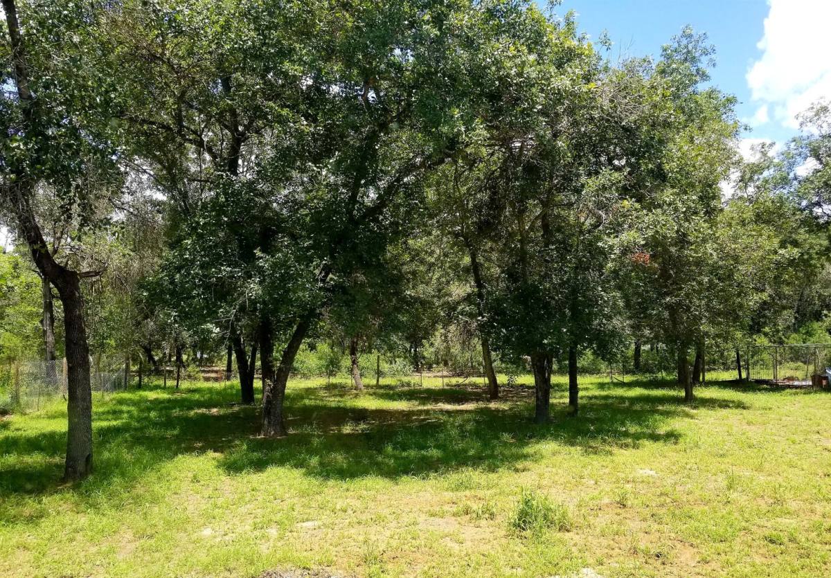 House for rent at 23322 Dragon Rock Rd, Elmendorf, TX 78112