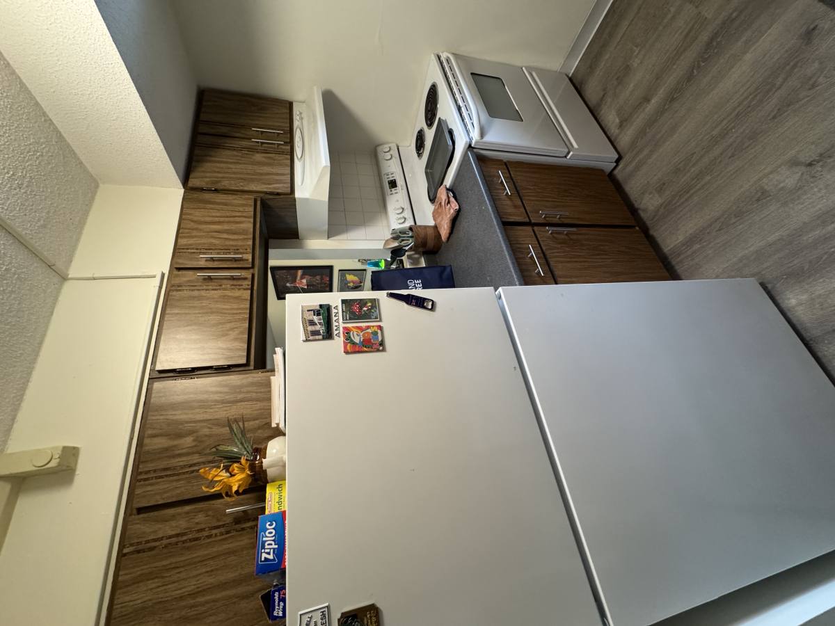 Apartment for rent at 49 Marion St #4D, Brookline, MA 02446