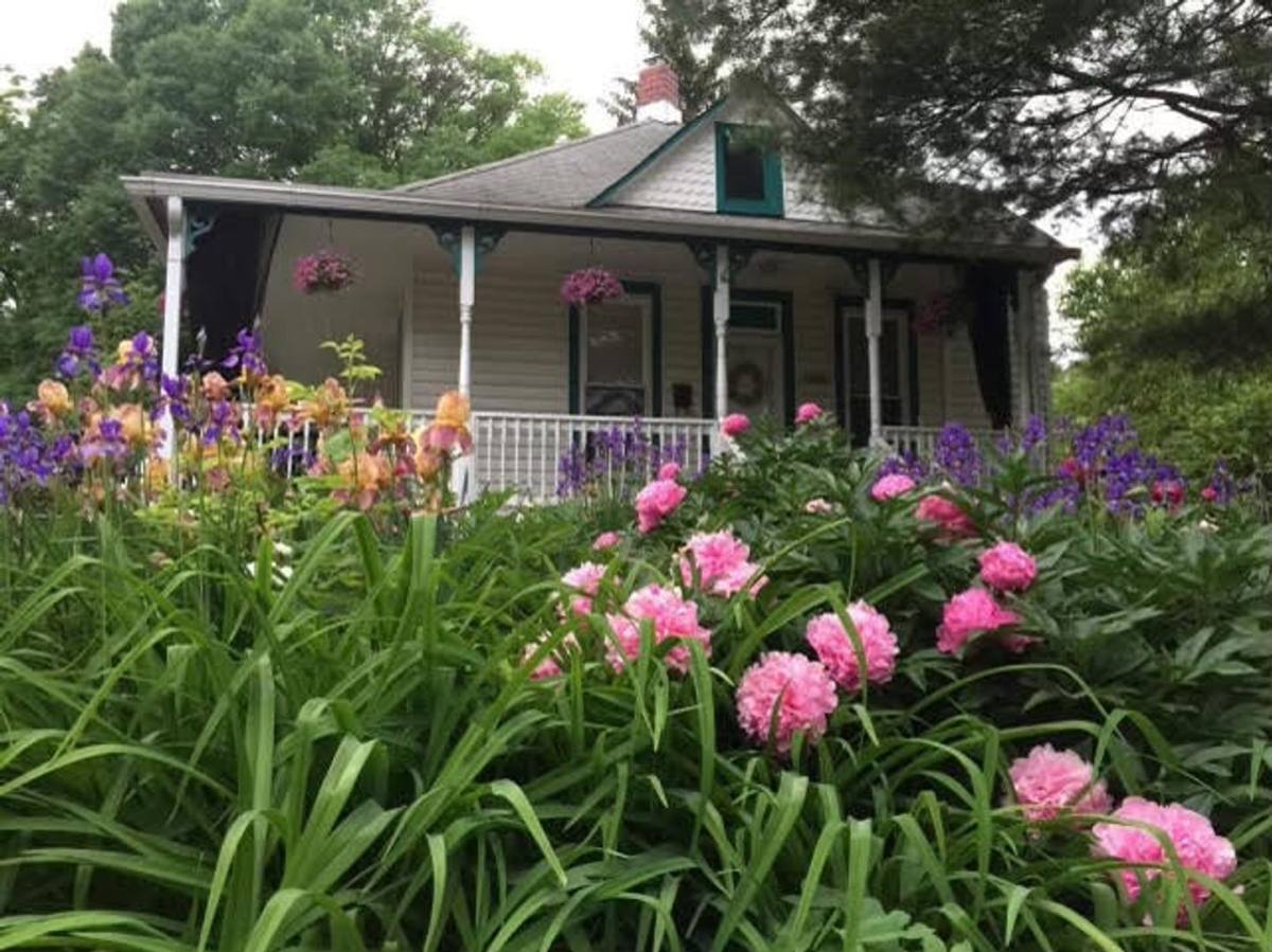 House for rent at 4202 30th St, Mount Rainier, MD 20712