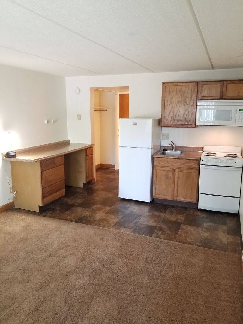 Apartment for rent at 135 S Hancock St, Madison, WI 53703