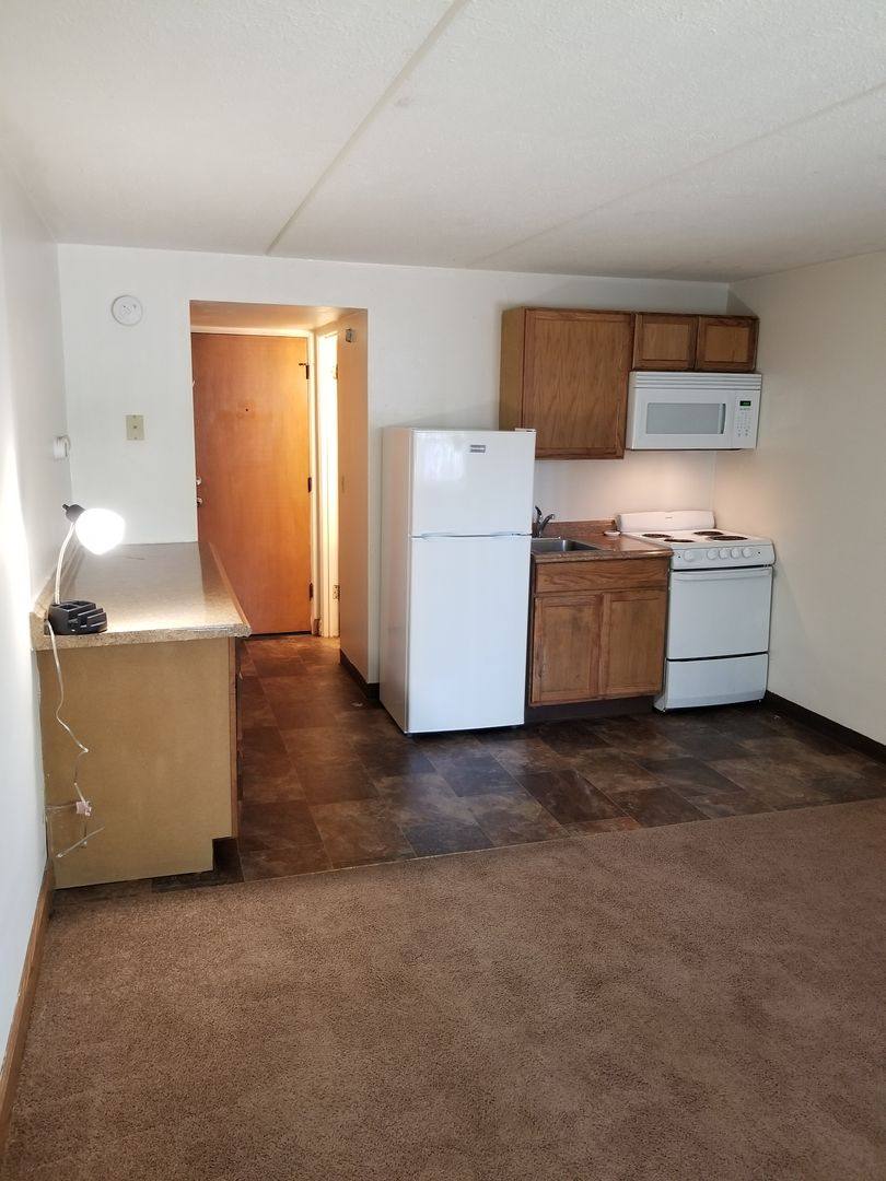 Apartment for rent at 135 S Hancock St, Madison, WI 53703