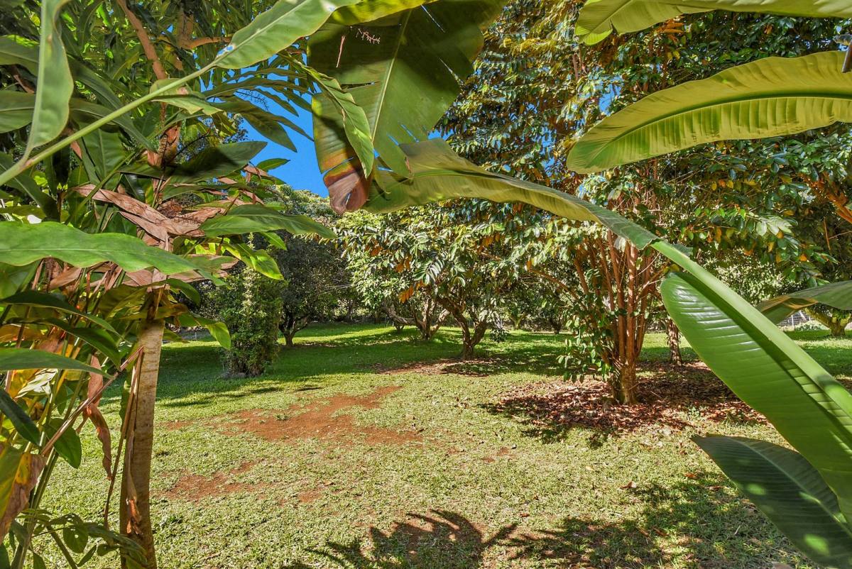 Apartment for rent at 79-973 Kealaola Rd, Kealakekua, HI 96750