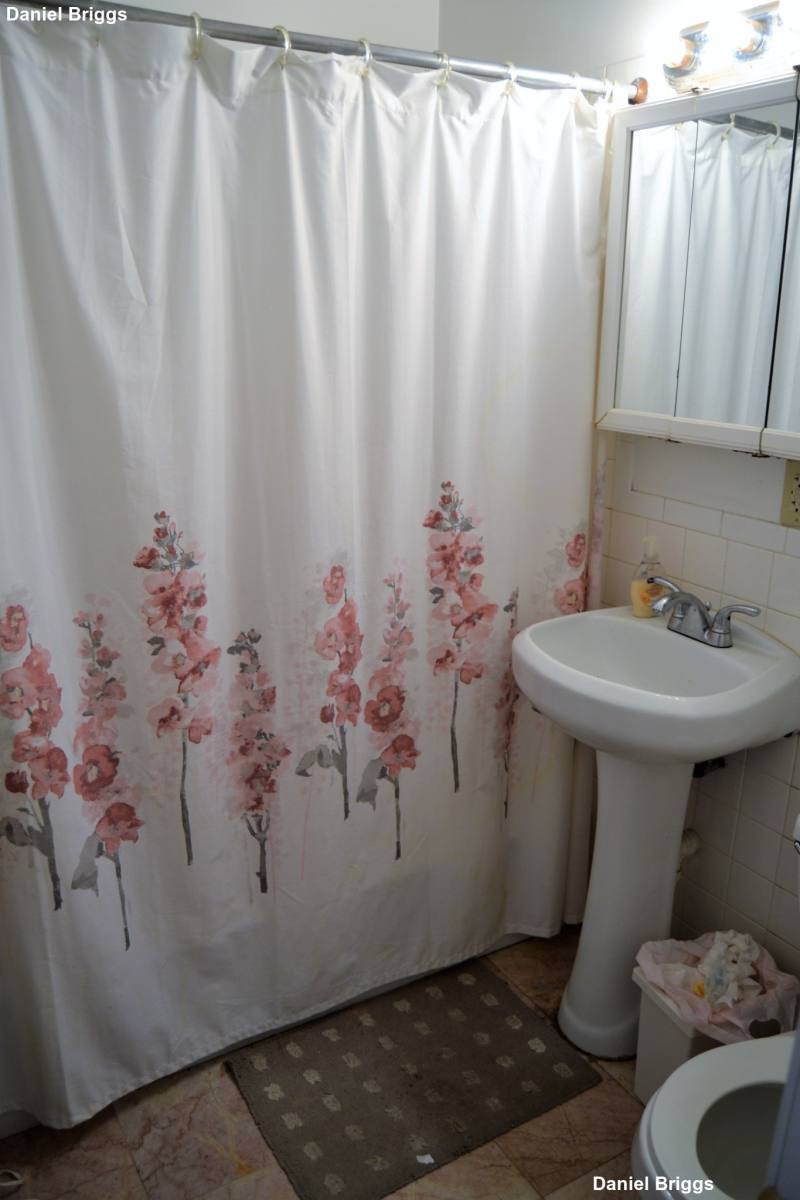 Apartment for rent at 37 Egremont Rd #2, Brighton, MA 02135
