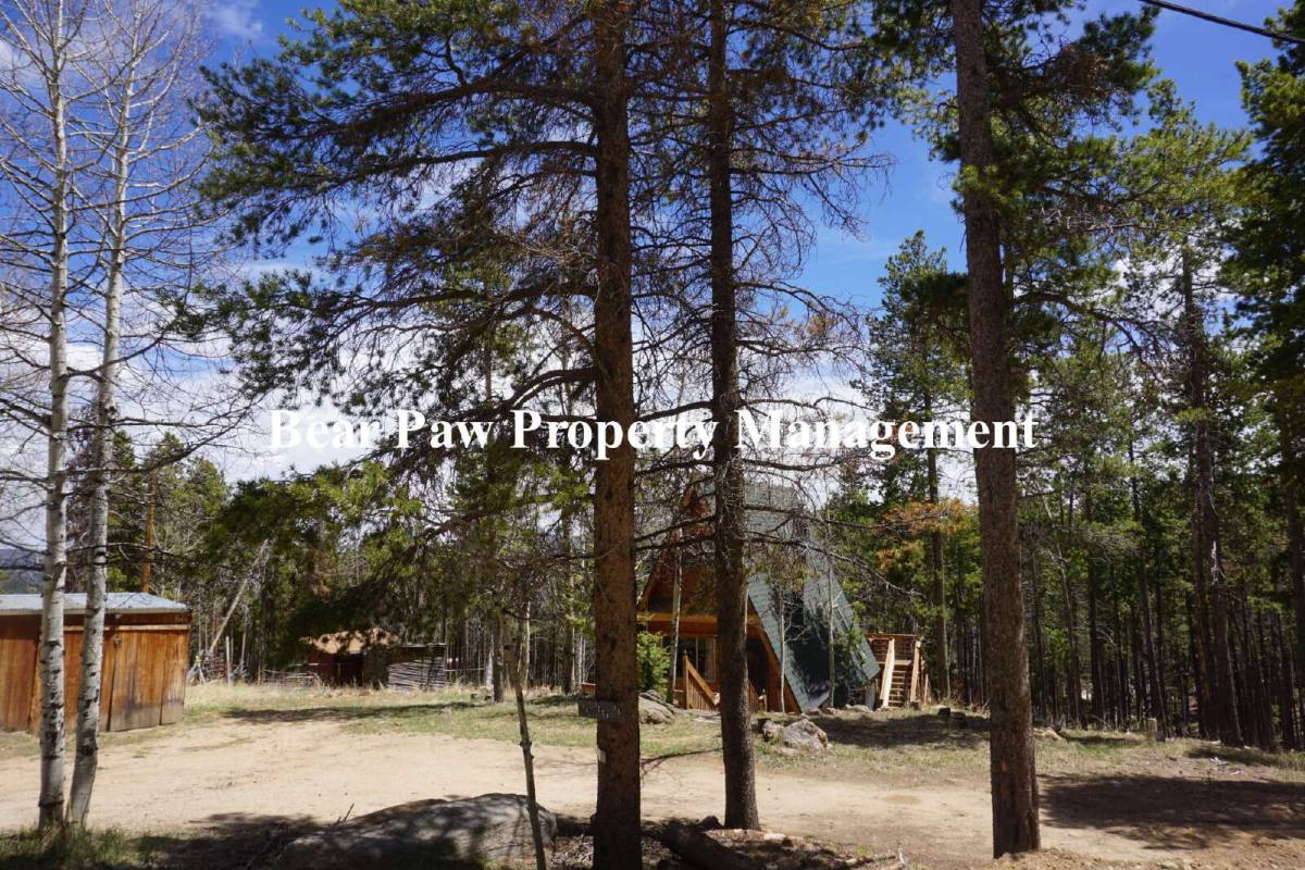 House for rent at 196 Deer Rd, Evergreen, CO 80439
