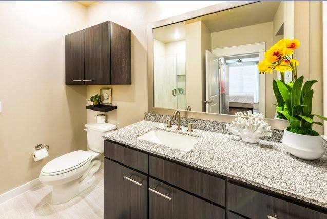 Apartment for rent at 1724 Partnership Way, Katy, TX 77449