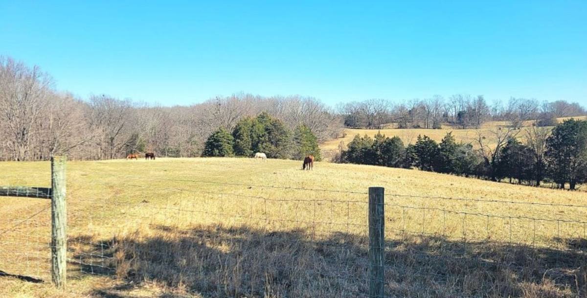 House for rent at 1444 Ben T Johns Rd, Alvaton, KY 42122