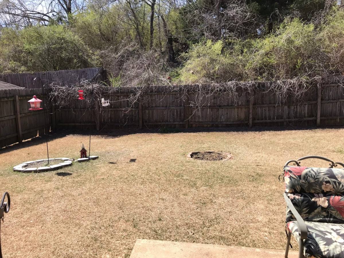 House for rent at 106 Bailey Patricia, Oxford, MS 38655