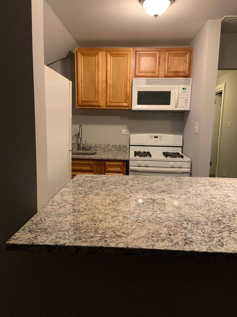 Apartment for rent at 7147 S Princeton Ave, Chicago, IL 60621
