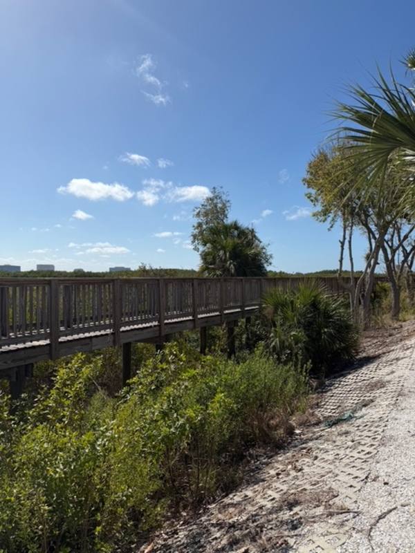 Condo for rent at 4306 Bayside Village Dr #1, Tampa, FL 33615