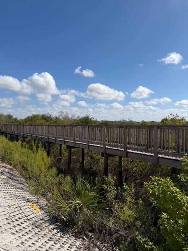 Condo for rent at 4306 Bayside Village Dr #1, Tampa, FL 33615