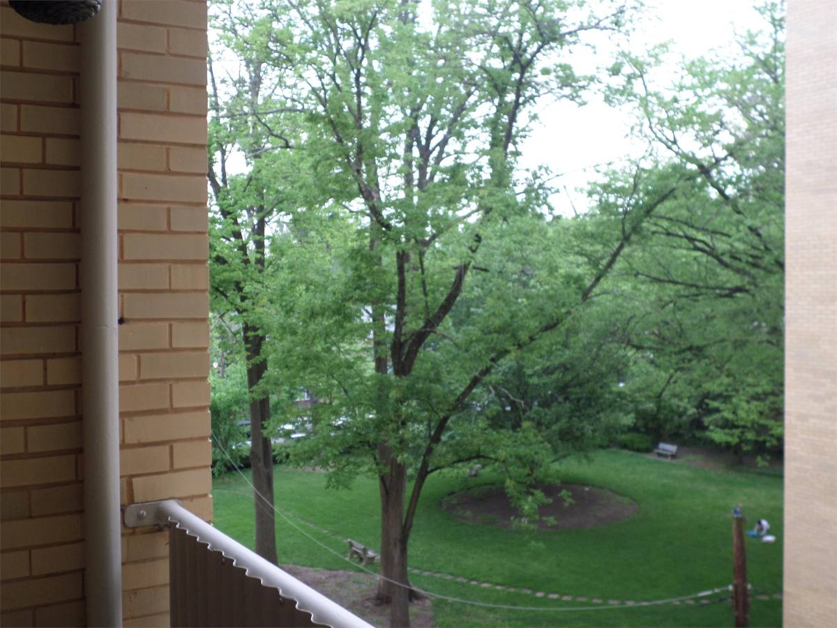 Townhouse for rent at North Cleveland Park, 4600 Connecticut Ave NW #616, Washington, DC 20008