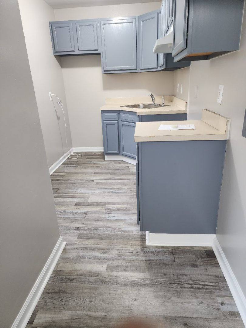 Apartment for rent at 1615 Olive St SE, Washington, DC 20019